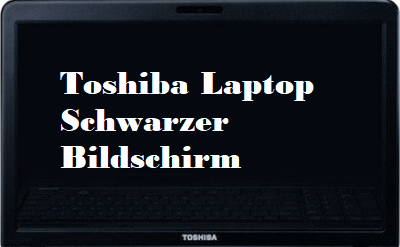 Informationen zum Startbildschirm des Toshiba Satellite
Einblick in die Startoptionen des Toshiba Satellite